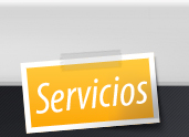 Servicios